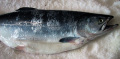 �ޥ�