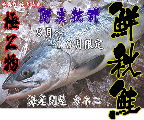 秋鮭