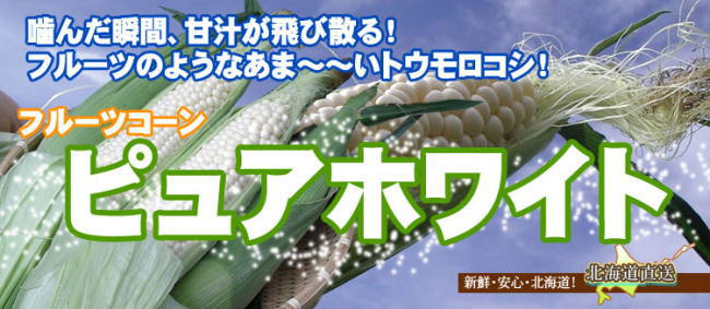 農家直送朝もぎスイートコーン「ピュアホワイト」 10本